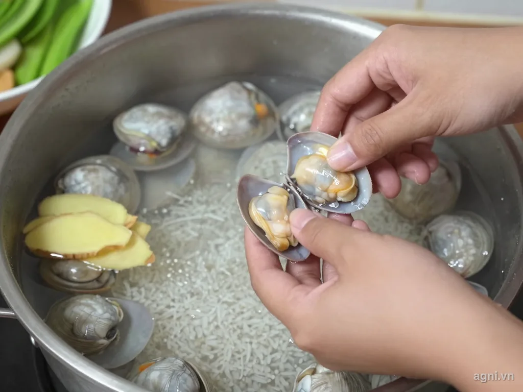 Minh hoạ bước 1